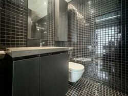 Skysuites@Anson (D2), Apartment #557836571